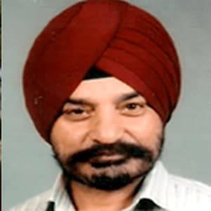 Committee Member